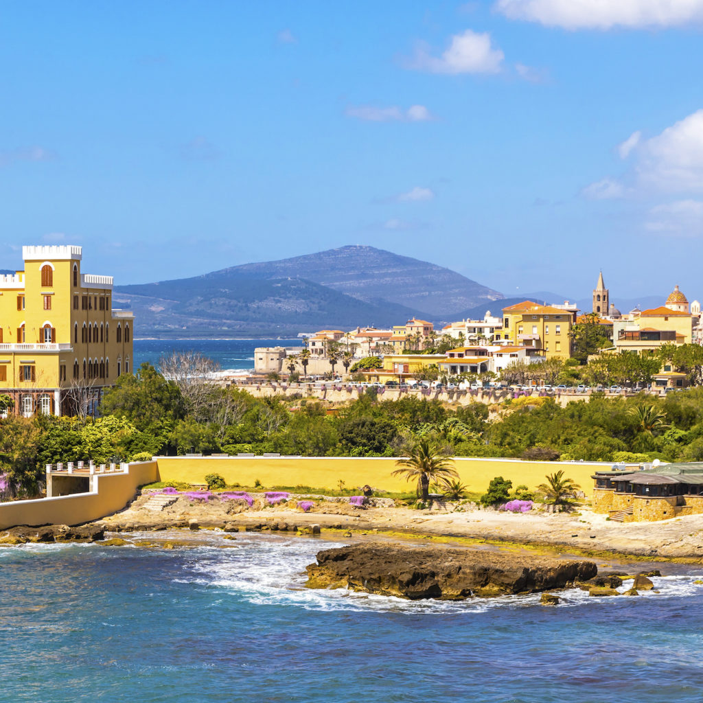 Mediterranean seacoast in Alghero city, Sardinia, Italy. Spring flowers and trees on foreground, colourful buildings of Alghero old city center on background